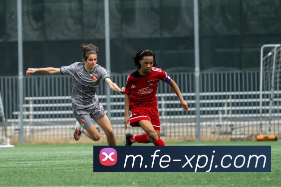 澳门新葡京娱乐服务体系